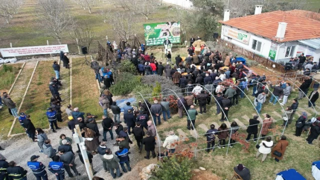 Muğla’da üreticilere fidan dağıtımına başladı