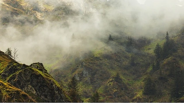 4 Bölümden OluşanVahşi Karpatlar’, 26 Eylül Cumartesi Saat 20.00’de Art Arda Tüm Bölümleriyle National Geographic WILD Ekranlarında!