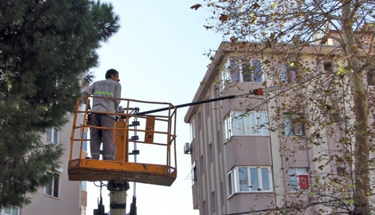 Kartal’da Ağaçlar Budanmaya Başladı