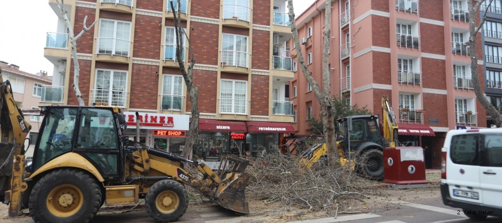 Kartal’da Budanan Ağaçlar İhtiyaç Sahiplerine Yakacak Olarak Geri Dönüyor